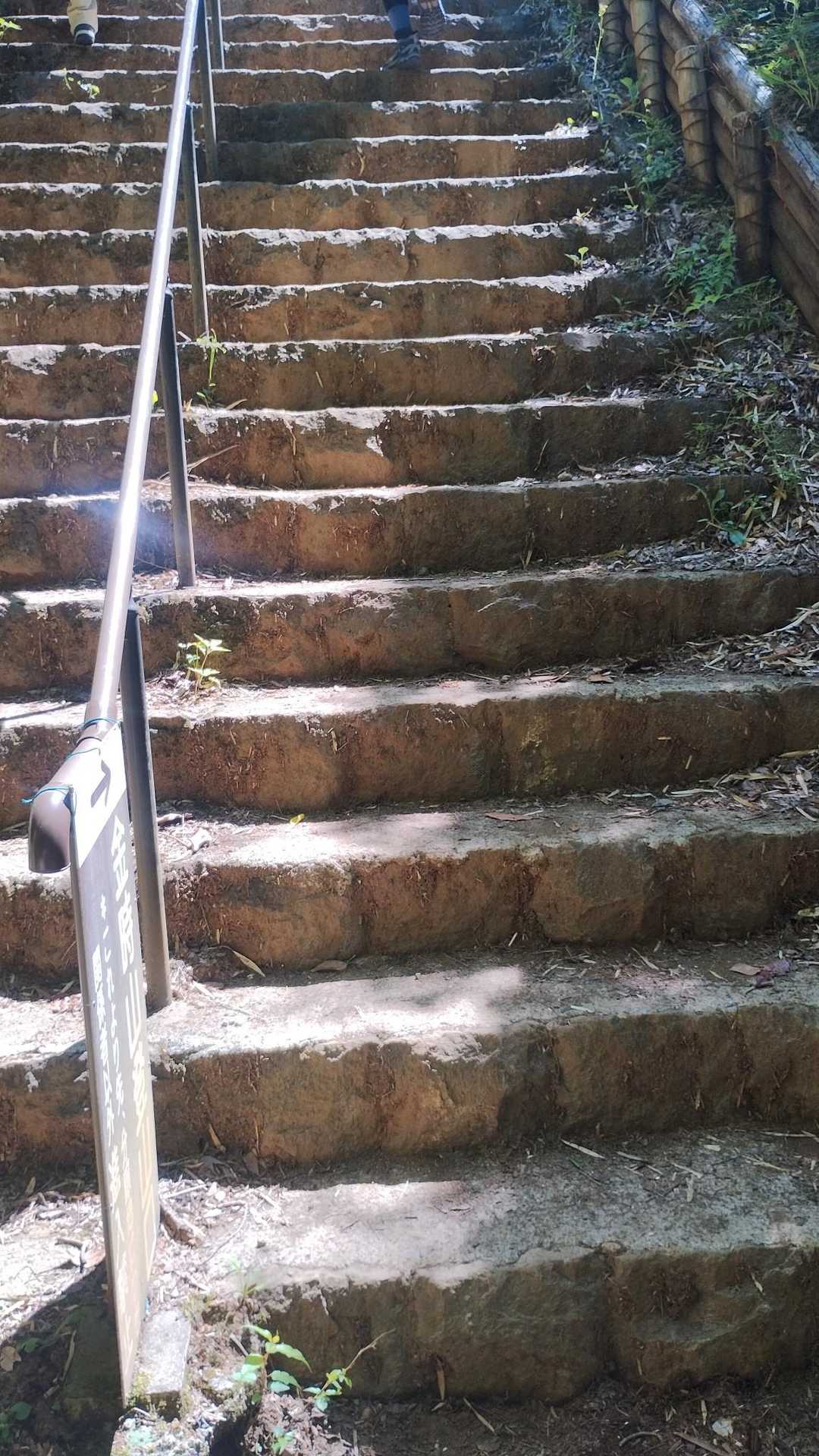 金時登山口バス停-金時山 往復コースの写真
