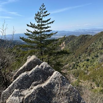 遠くに琵琶湖が見える