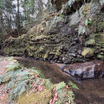 千条の滝
水量少ない・・・
