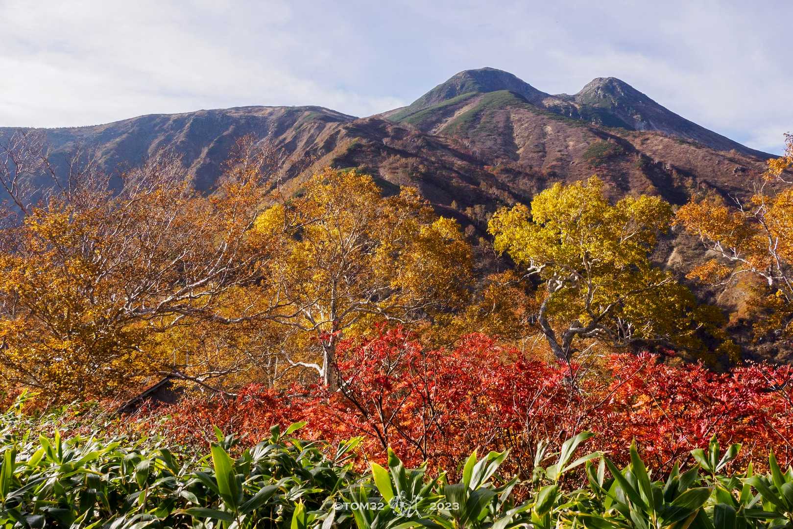 大倉山避難小屋と白山