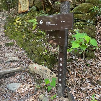 宝塚まであと、3キロ