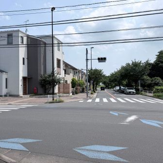 道路を渡って武蔵野の森公園へ