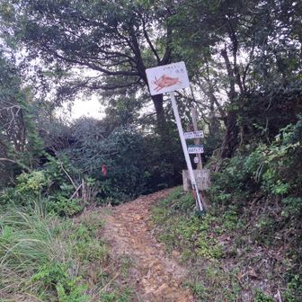 八重坂峠、ここからが本番。