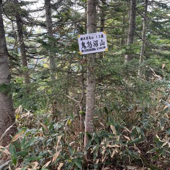 鬼怒沼山到着。三角点らしき石が２つあるくらいで景色はほとんどありません・・・。昼飯をゆっくり食べるスペースも不足していたので鬼怒沼に戻ることを決めました