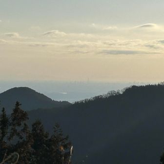 遠くにスカイツリーが見える！