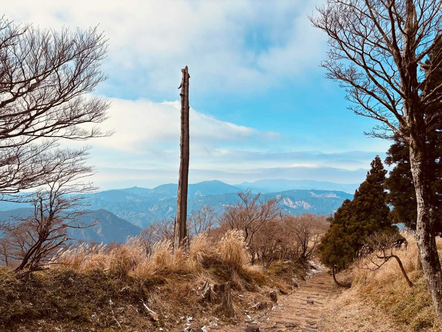 大満足で帰ります😊

正面に馬見山〜大根地山〜宝満山が見える👀

…との事🤣