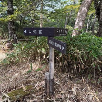 シオカラ谷へ➡️