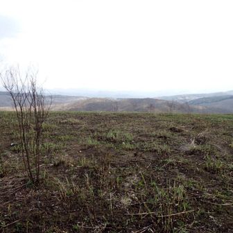 お次は平坦に見える剣山👣