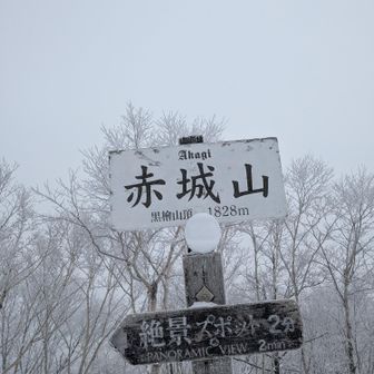 とうちゃこ
ここにも雪だるま