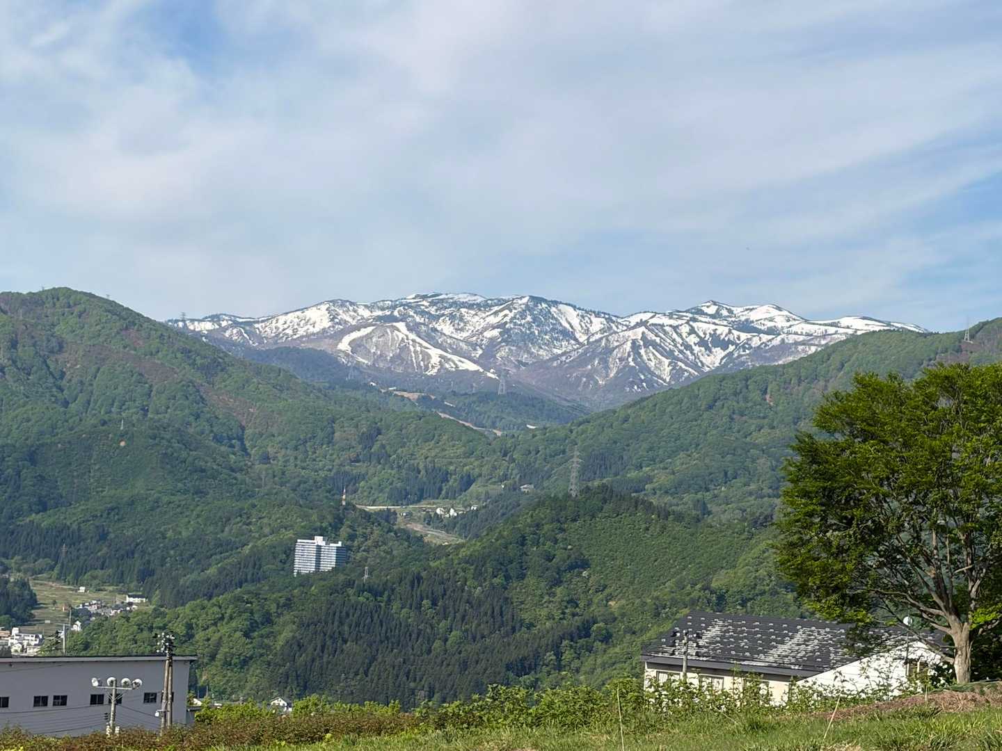飯士山 往復コースの写真