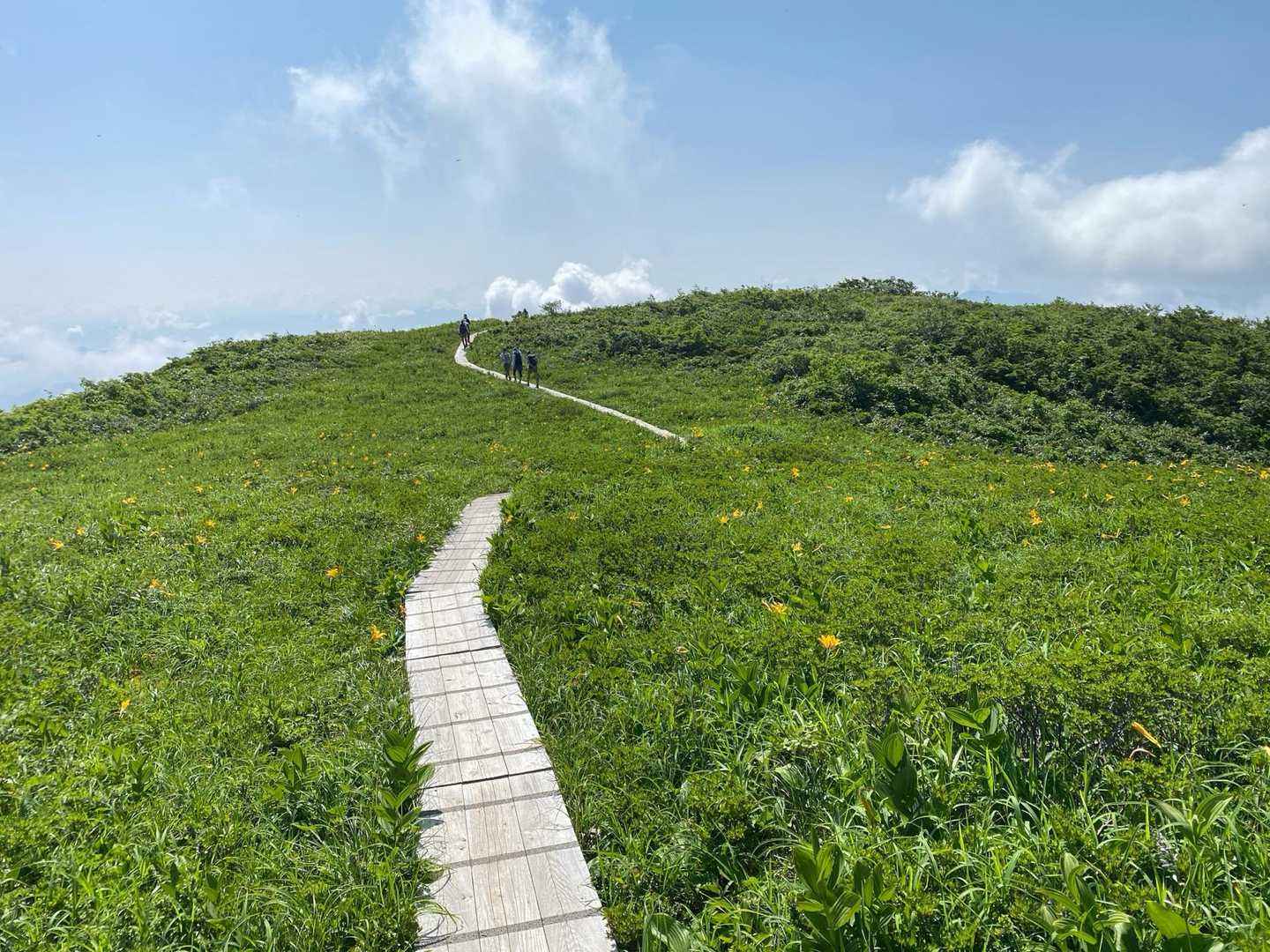 8合目登山口-白木峰-浮島の池 周回コースの写真