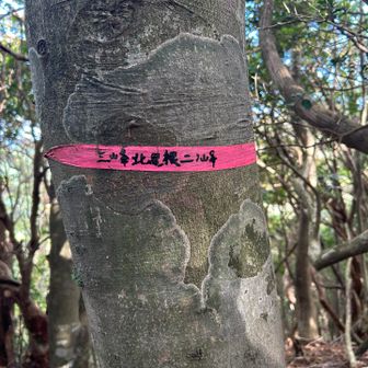 7座目
三峰北尾根ニ峰・959m
しつこい急登の繰り返し💪