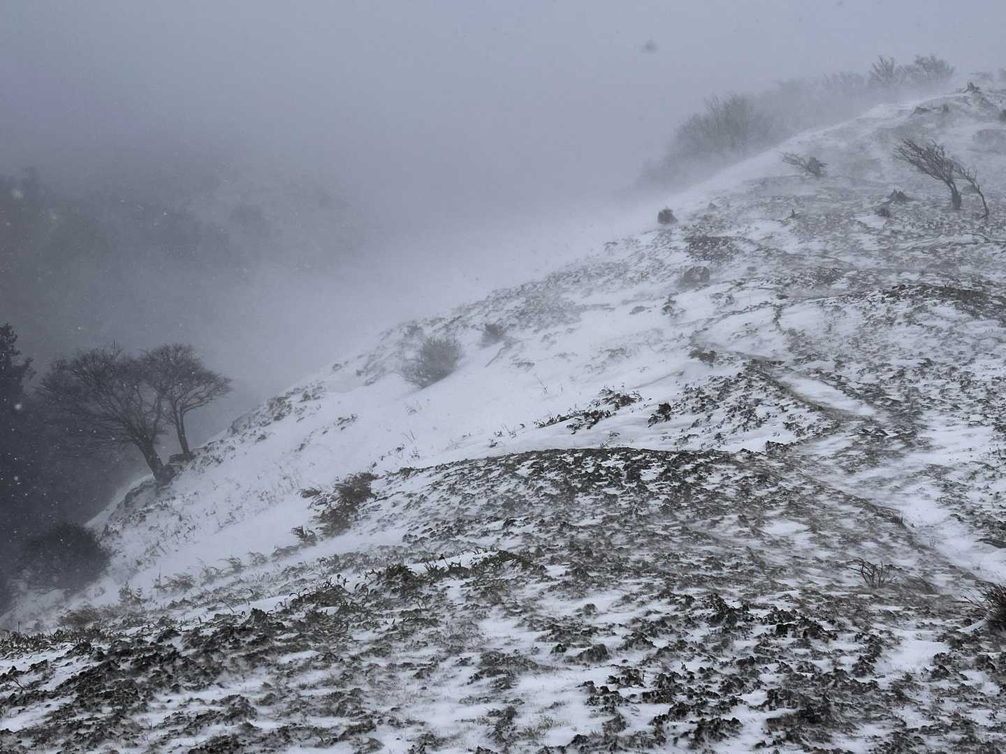 ホワイトアウトなら引き返すつもりでしたが、尾根も見えるので登りますよ❗️❄️☃️