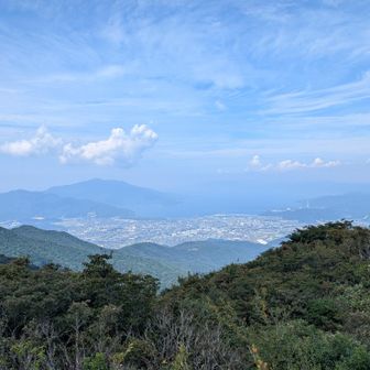 敦賀市街