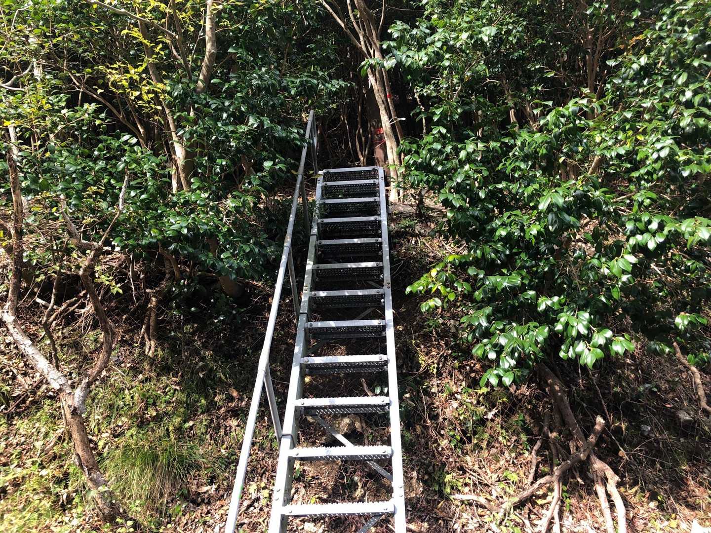 登山口には階段があります