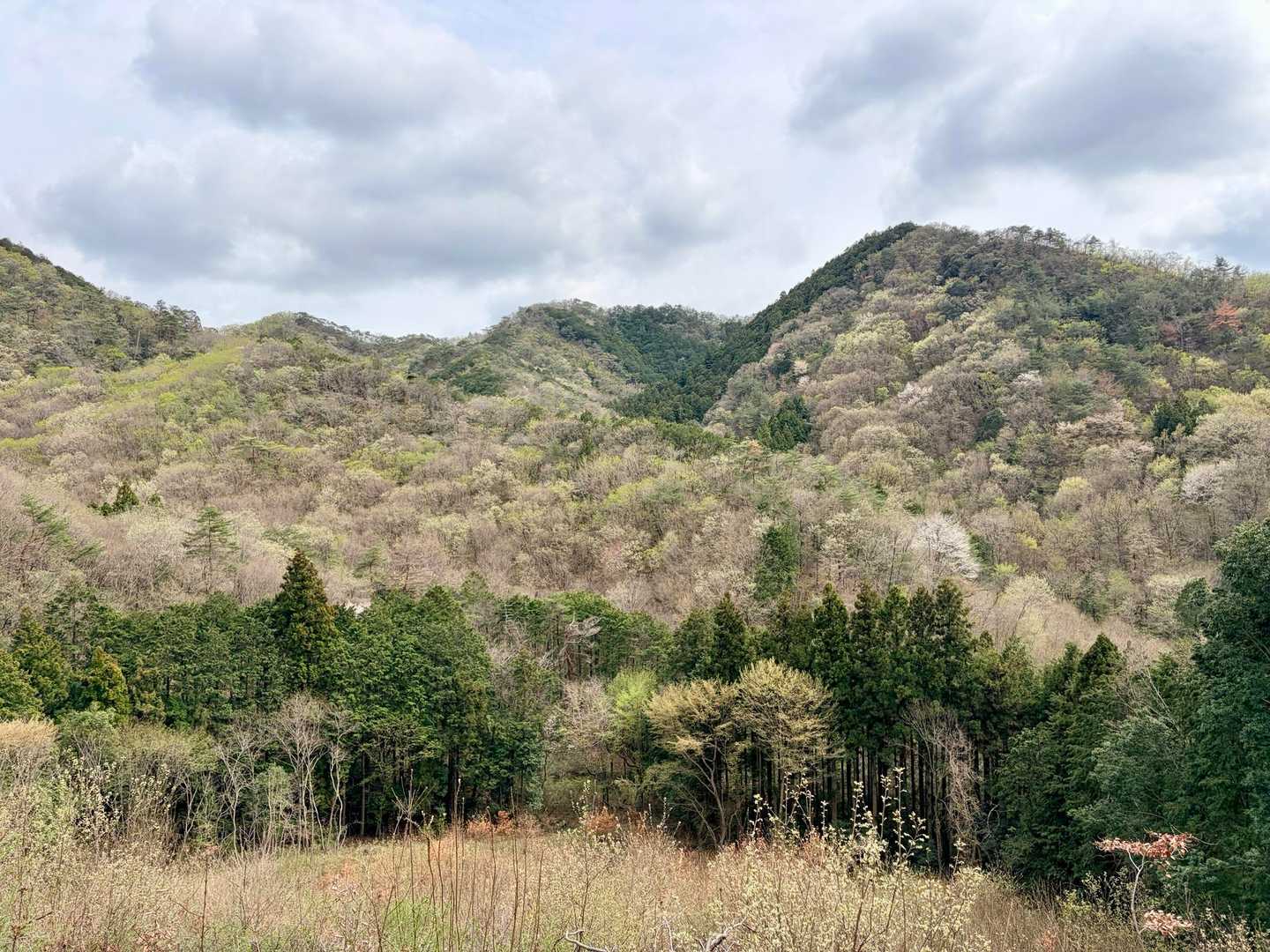 出尾根コース登山口-三床山-天ヶ岳-林山-金原山 周回コースの写真