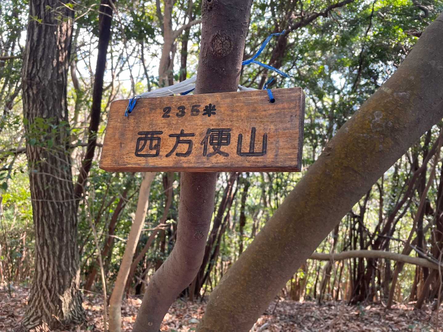 山頂⛰
もちろん！眺望は有りません✨