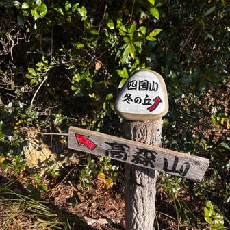 高森山へ　ワロックが初登場😃
たくさんありました