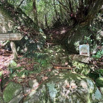 白谷雲水峡の分岐。
太鼓岩に寄ろうか迷ったけど
天気が怪しくなってきて満足もしてたので
まっすぐ荒川登山口に向かいます