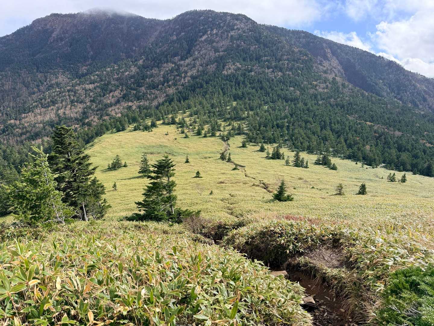 振り返るとこの素晴らしい草原
奥には先ほど登った四阿山