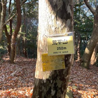 二座目⛰️荒平山ゲット