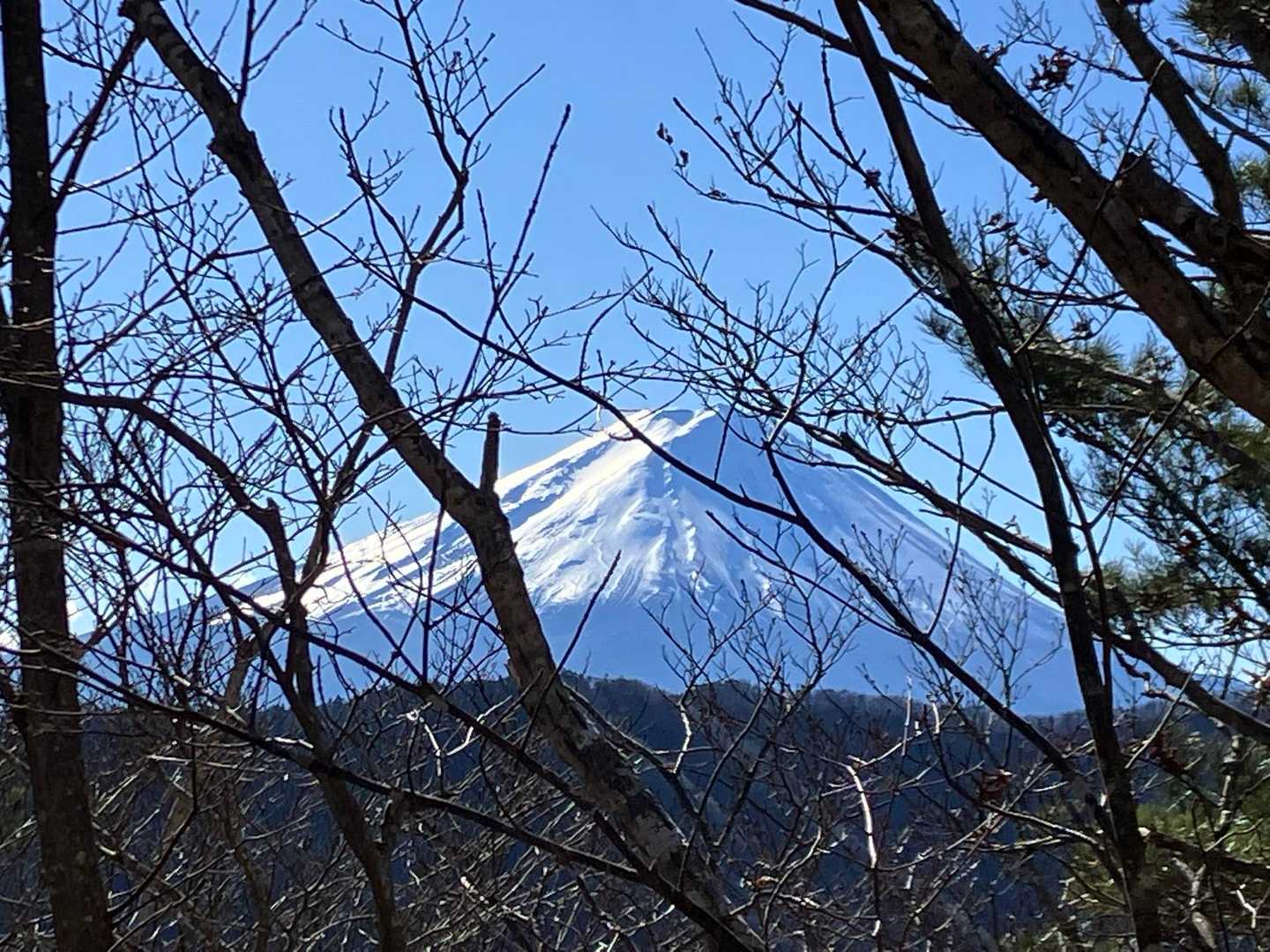 一日中、見守られています。老女満足☺️