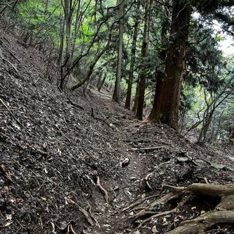 分かりやすく歩きやすい道になると安心。