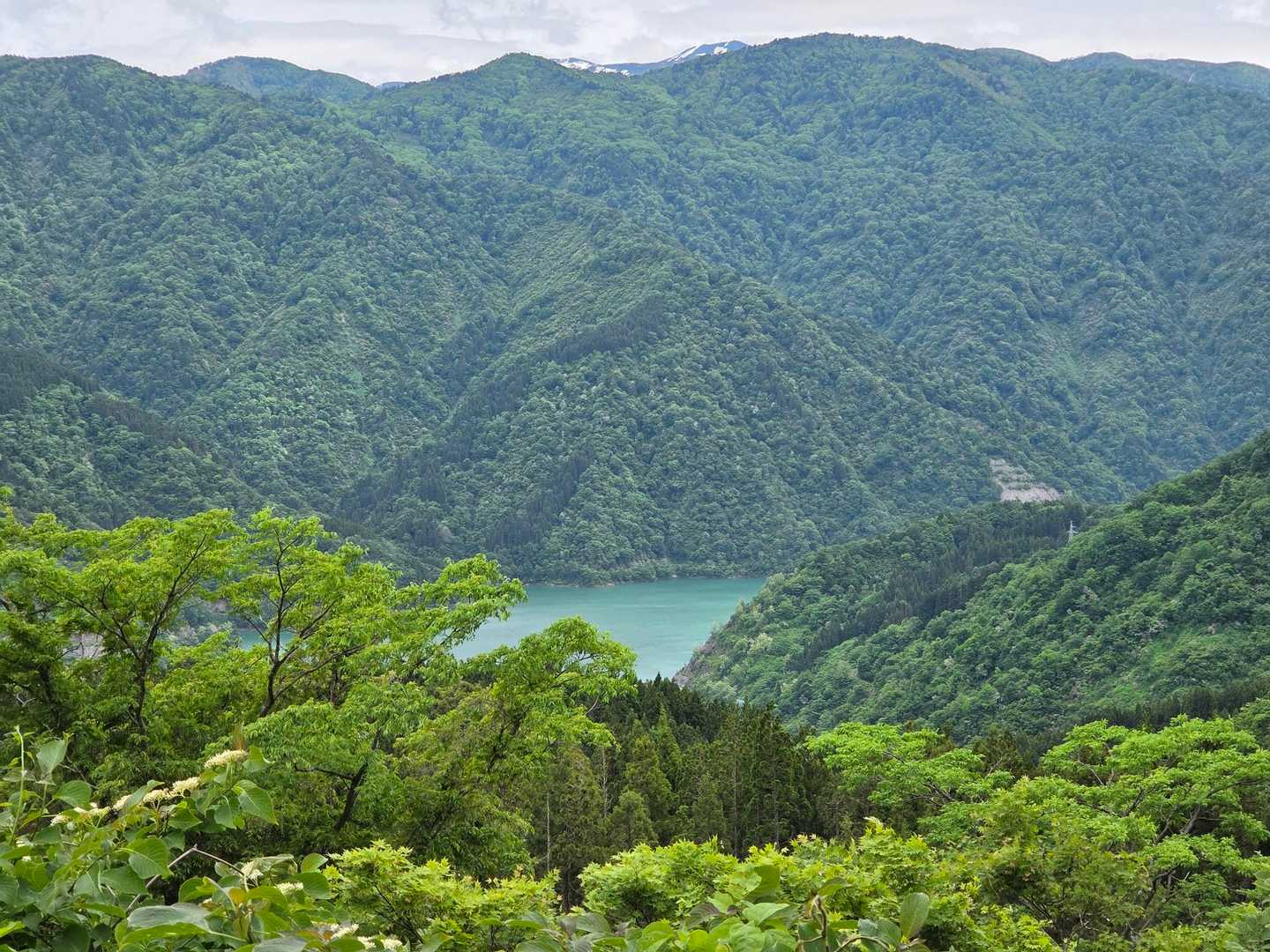 朝に比べると手取湖の色がキレイ💚