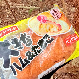 今日は世界で二番目に美味しいハムたまごパンです🥖
かなり蒸れてしまってました💦