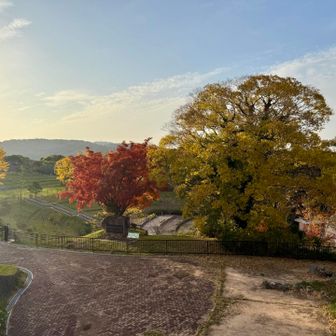 公園も色づいてました🍁

こんなにキレイになったんだぁ！