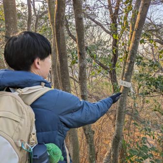 抜谷嶺の写真とばして石橋山で38座✌️
