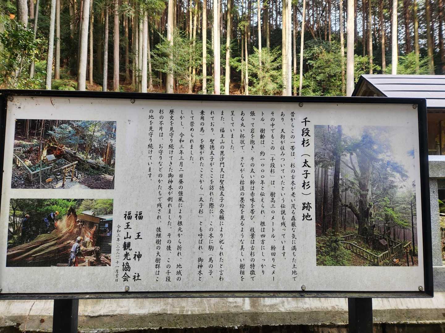 福王神社-福王山 往復コースの写真