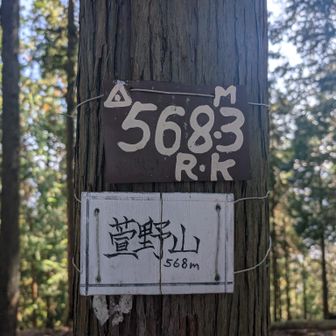 今日の最高峰！
