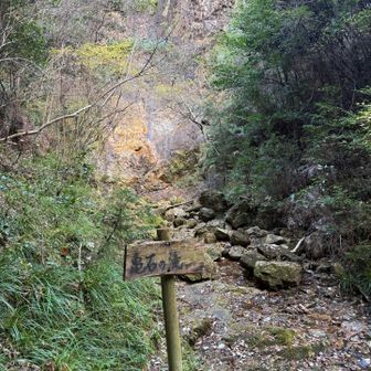 滝尾根を下った先に亀石の滝
水なし😨