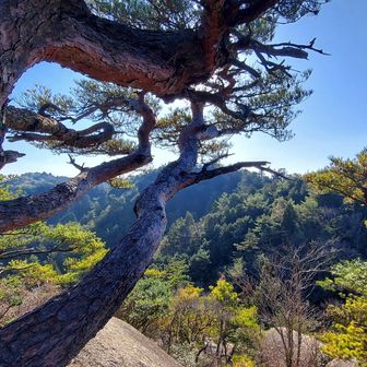後天狗岩👺、ついた
