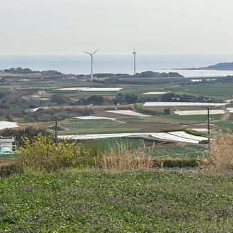 この標高でも眺めは最高です