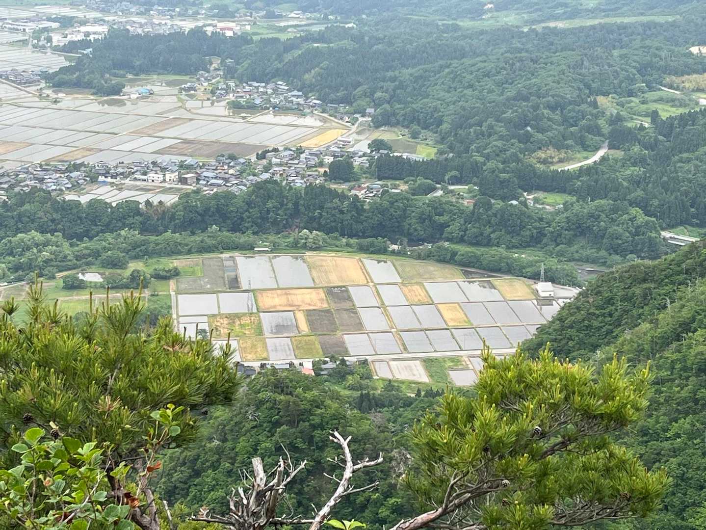 ドイリノ峰-ユズリハの峰-鳥坂山-白鳥山-宮ノ入コース登山 周回コースの写真