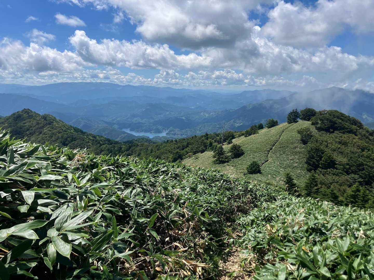 保井野登山口-堂ヶ森 往復コースの写真