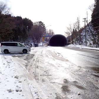 帰ってきました～