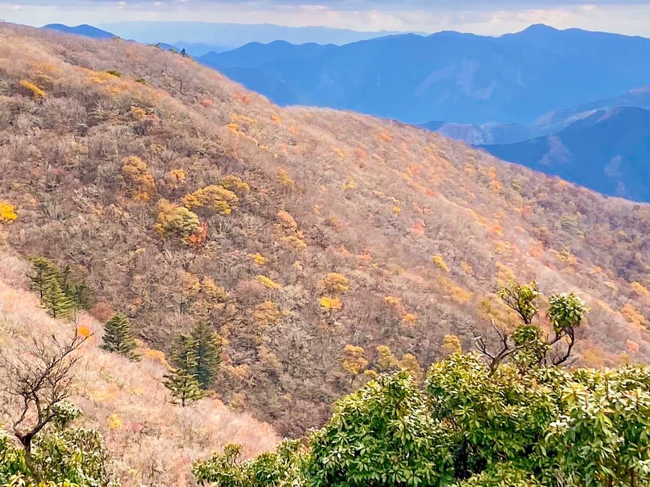 綺麗〜。

もう紅葉も終わりな感じ