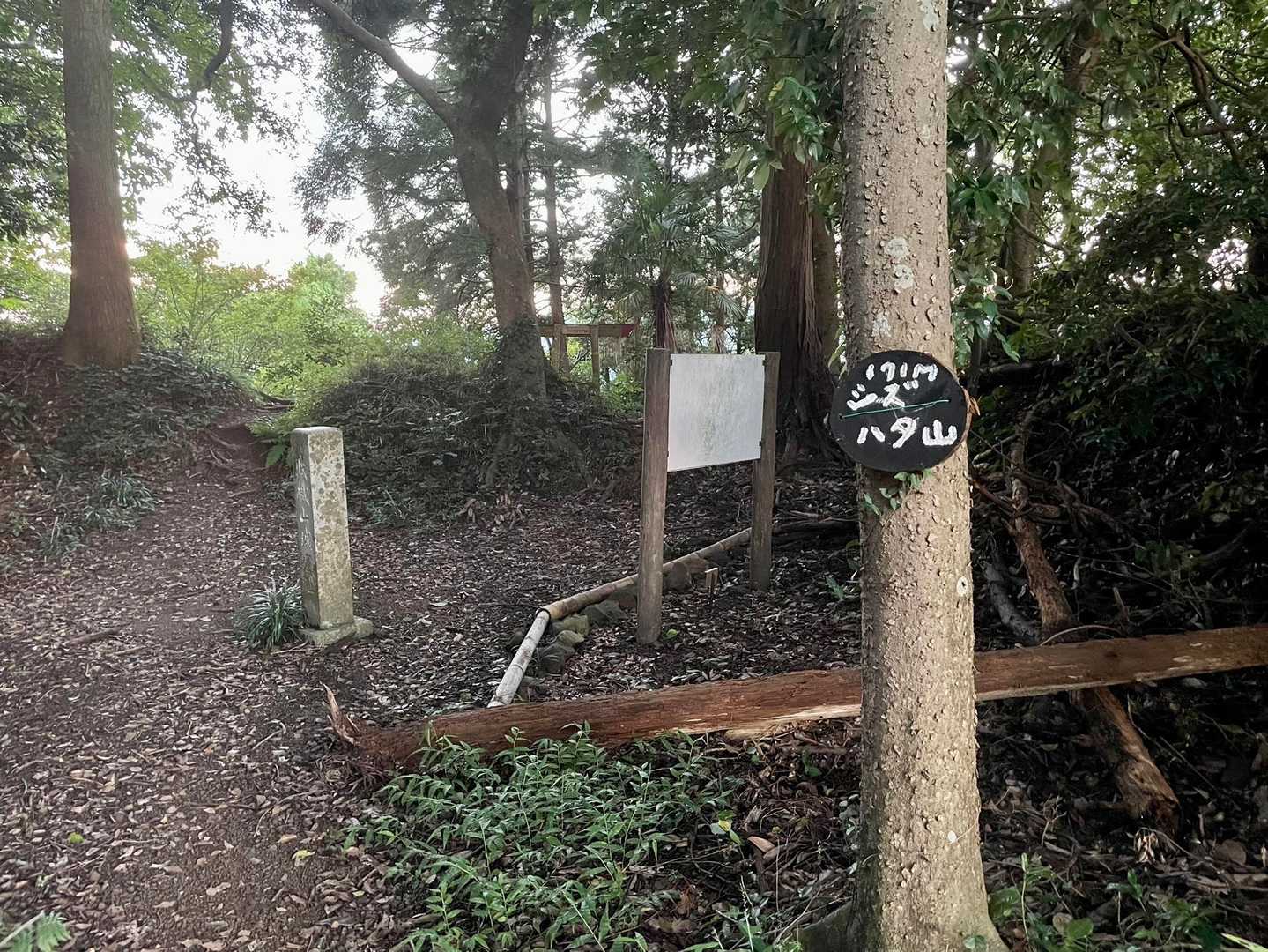 賤機山城塞趾🏯に着きました。
そしてココは賤機山の山頂です🙌