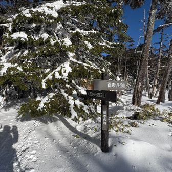 大石峠へ
ここから急登始まる😂
この登り今回一番キツかった
休憩ばっかりでした、体力なさすぎ🥵
