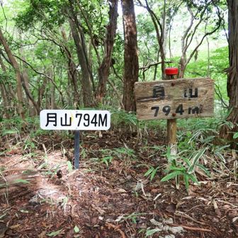 月山（794m）