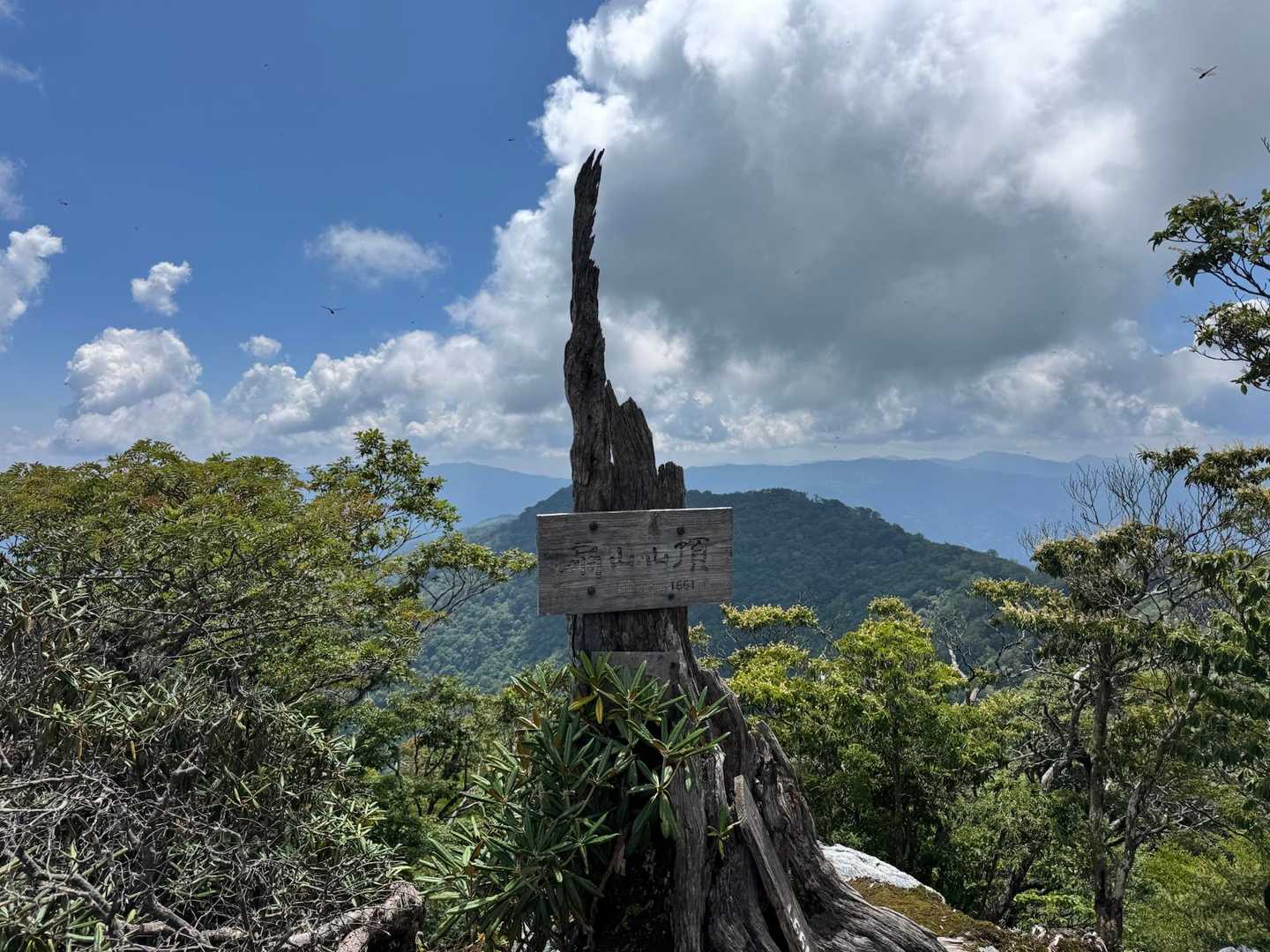 この指と〜まれ！☝️な
△ 扇山 1661m 
九州百名山