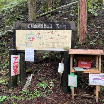 ヒルに襲われながらなんとか下山