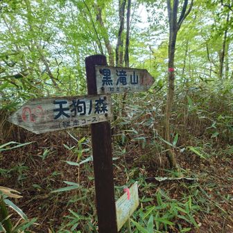 3週間前はここで引き返した
ここからは初めての道