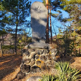 米山城🙌　村上義清。真田の前の城主。ここ砥石城であの武田信玄をも打ち破ったそうな👀　後に武田に追われた村上が上杉に救援を求めて、信玄vs謙信の川中島に至るのは有名な話。
