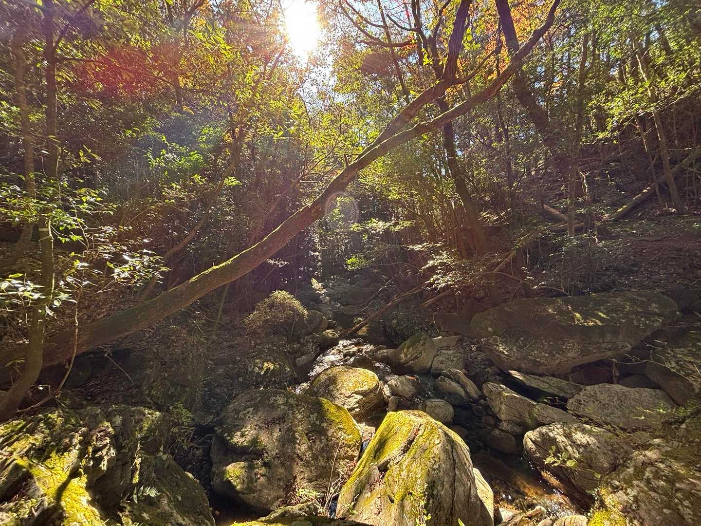 行縢山登山口-行縢山 往復コースの写真