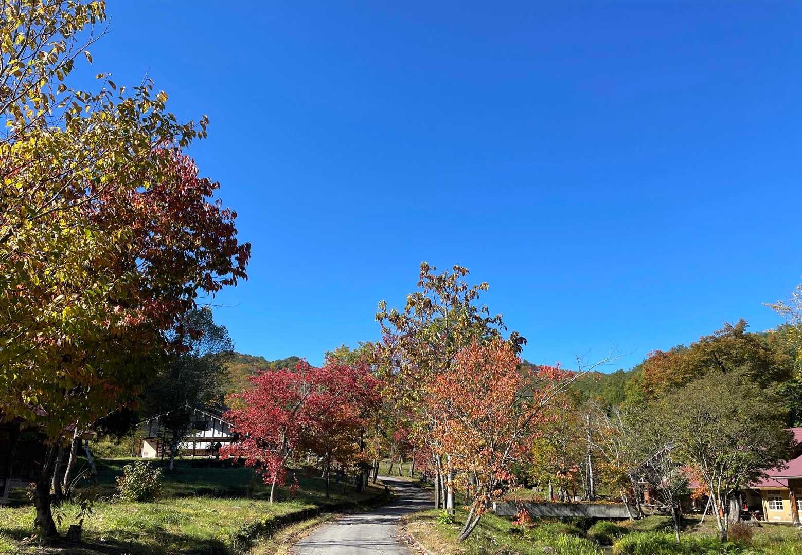 快晴☀️登山口のある天空の牧場奥飛騨山之村牧場から出発します🐴
🚾お借りしました😌

気温7°標高900m

