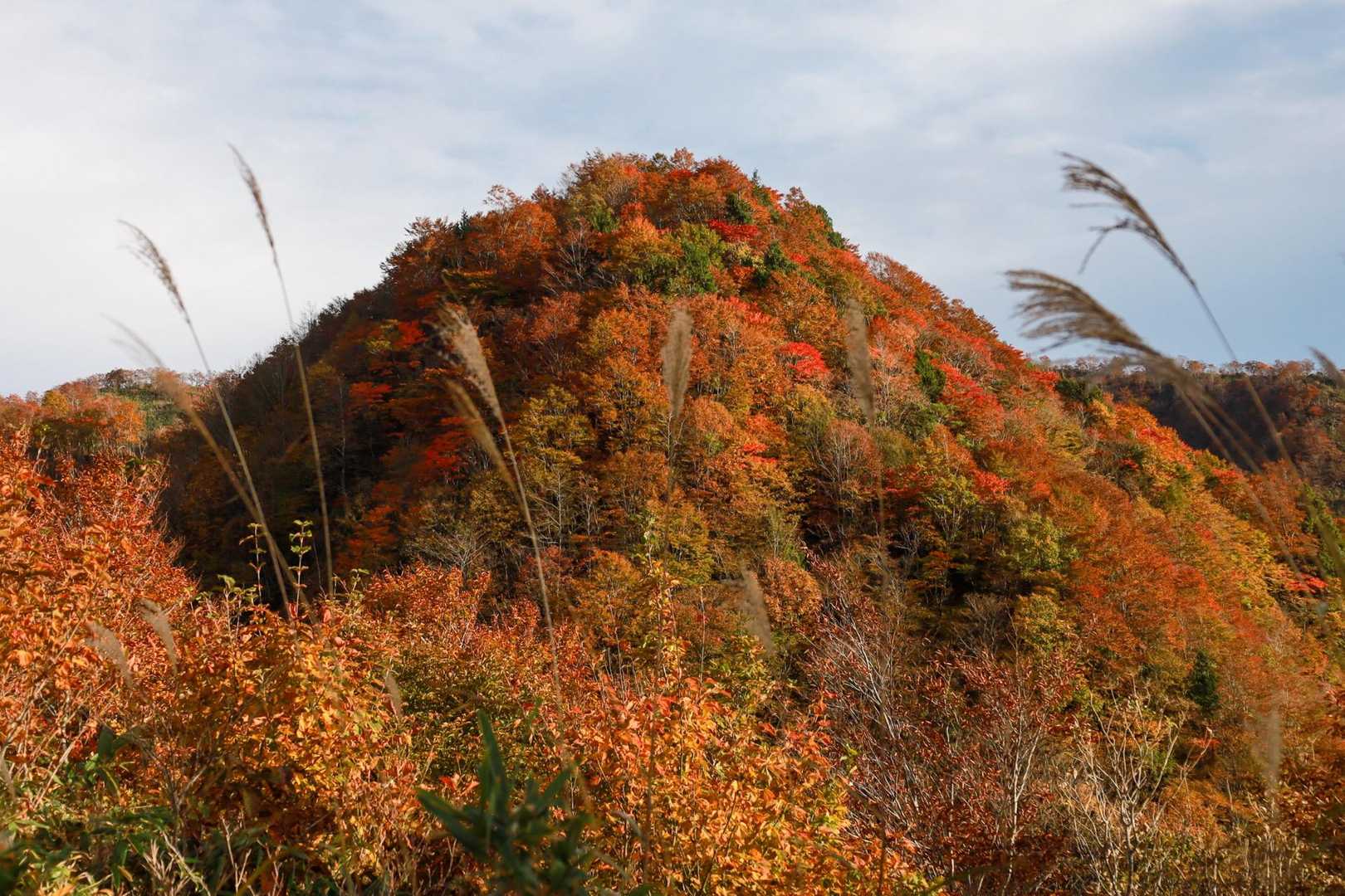 形のいい三角山‎🧡‬